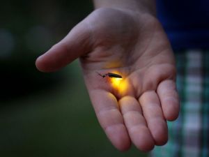 1847D6F6-FA72-4796-A888-C262A25150C6