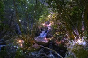 5FFAD155-7C25-4622-ACB2-244B6D6476D8