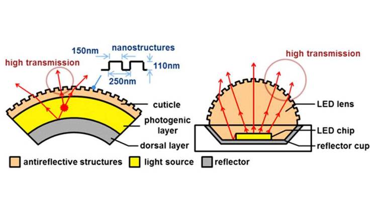 A4524839-3B57-4B5E-B10F-4F79CA97D6DA