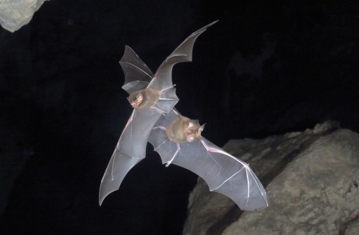 B5EF9D54-306A-4C84-A2D7-CC1DA23927B8