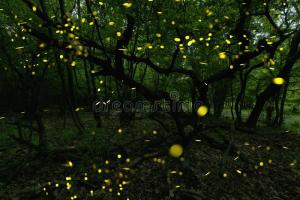 C8A7D774-EBAC-450B-99D4-3B507E4B12C1