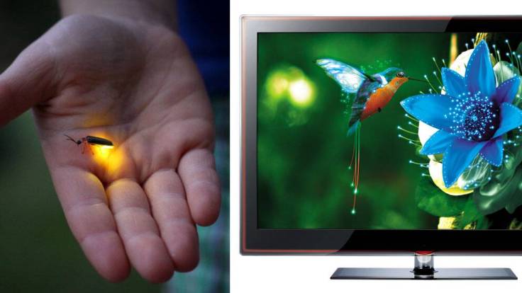 CE0D54F7-04C5-4A22-AF52-C9E4BB5B4828