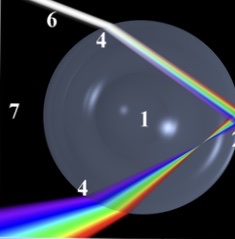 EC3DEE8C-3E99-4A91-A35B-5EDB70E9B302